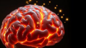 The Brain’s Relationship With Glucose and Energy Levels